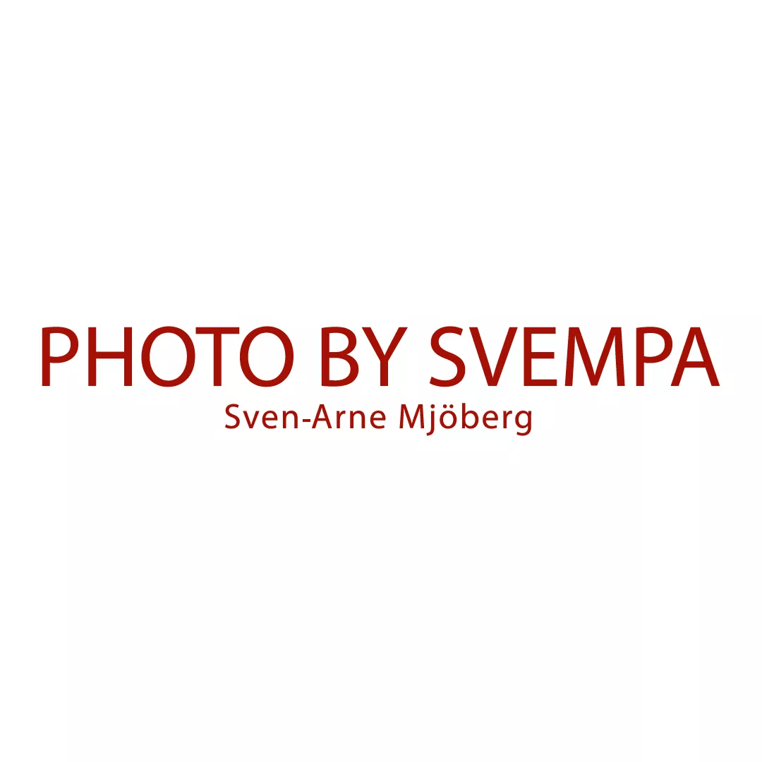 Logo Svempa